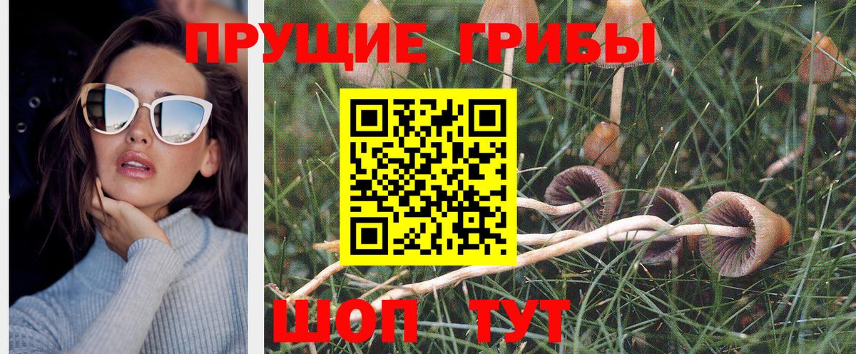 Галлюциногенные грибы GOLDEN TEACHER Мегион
