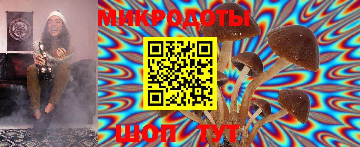 Псилоцибиновые грибы GOLDEN TEACHER  Вход с VPN  Мегион 